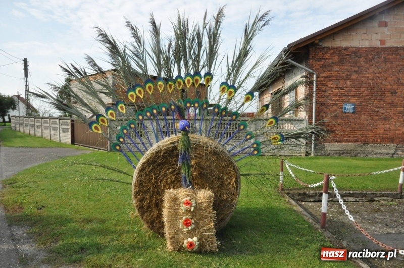Zdjęcie w galerii na portalu naszraciborz.pl: Parafia Zawada Książęca świętuje dożynki wiadomości z regionu
