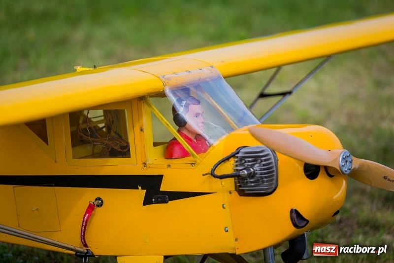 Zdjęcie w galerii na portalu naszraciborz.pl: Stowarzyszenie Skrzydlaty Racibórz zaprasza na XI Piknik Modelarski wiadomości z regionu