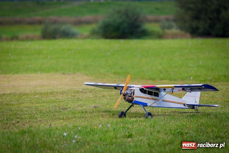 Zdjęcie w galerii na portalu naszraciborz.pl: Stowarzyszenie Skrzydlaty Racibórz zaprasza na XI Piknik Modelarski wiadomości z regionu