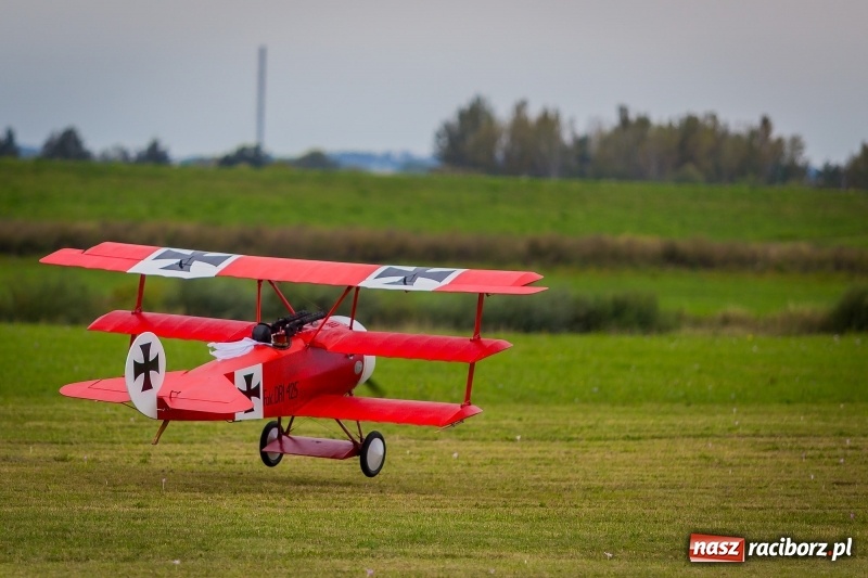 Zdjęcie w galerii na portalu naszraciborz.pl: Stowarzyszenie Skrzydlaty Racibórz zaprasza na XI Piknik Modelarski wiadomości z regionu