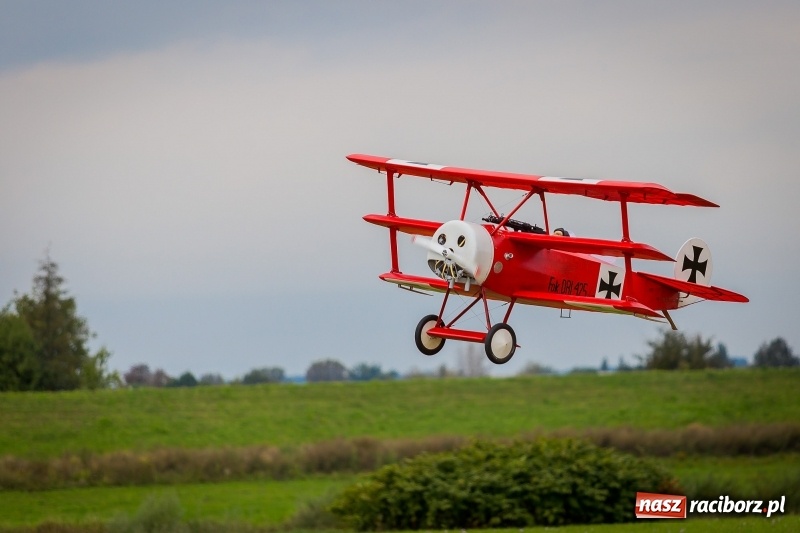 Zdjęcie w galerii na portalu naszraciborz.pl: Stowarzyszenie Skrzydlaty Racibórz zaprasza na XI Piknik Modelarski wiadomości z regionu