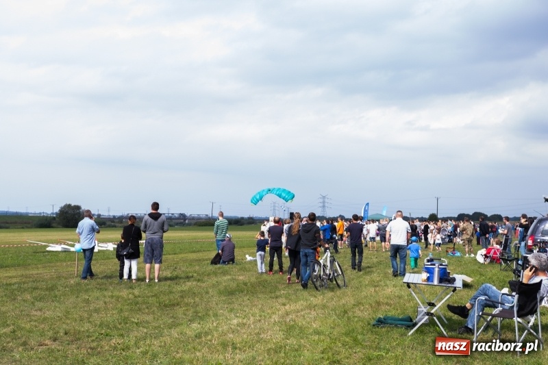 Zdjęcie w galerii na portalu naszraciborz.pl: Pokazy spadochroniarzy i bitwa powietrzna podczas Pikniku Modelarskiego wiadomości z regionu