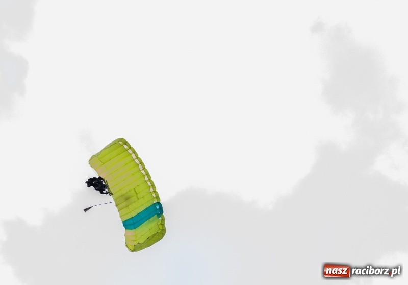 Zdjęcie w galerii na portalu naszraciborz.pl: Pokazy spadochroniarzy i bitwa powietrzna podczas Pikniku Modelarskiego wiadomości z regionu