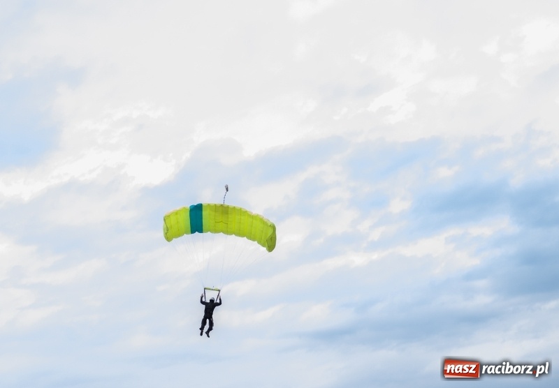 Zdjęcie w galerii na portalu naszraciborz.pl: Pokazy spadochroniarzy i bitwa powietrzna podczas Pikniku Modelarskiego wiadomości z regionu