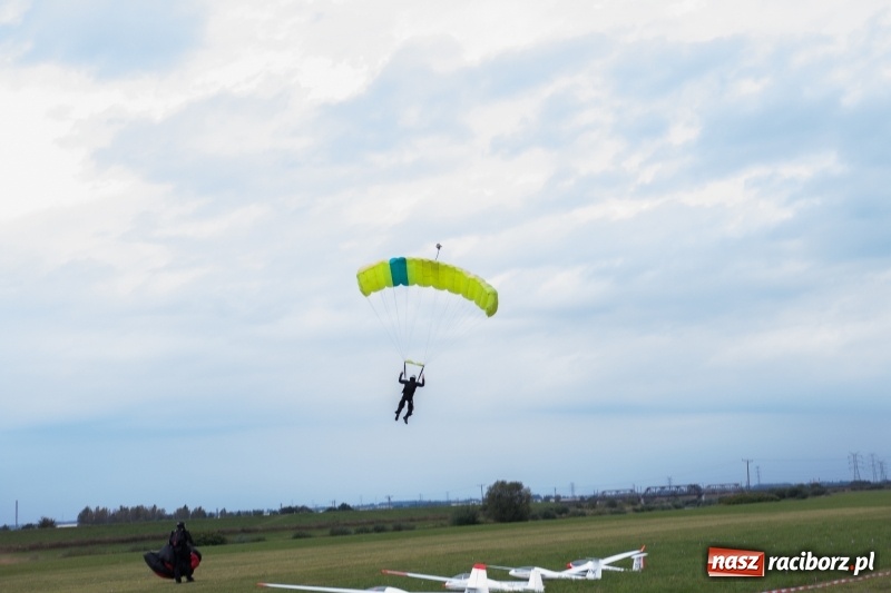 Zdjęcie w galerii na portalu naszraciborz.pl: Pokazy spadochroniarzy i bitwa powietrzna podczas Pikniku Modelarskiego wiadomości z regionu