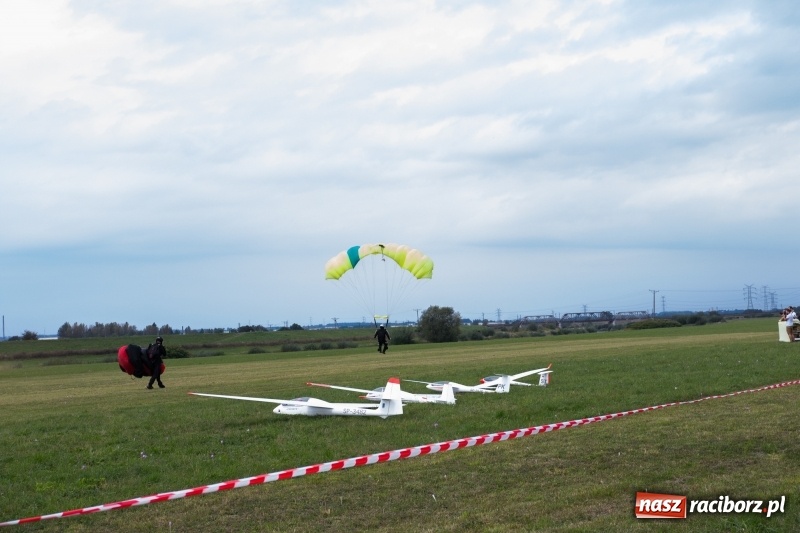 Zdjęcie w galerii na portalu naszraciborz.pl: Pokazy spadochroniarzy i bitwa powietrzna podczas Pikniku Modelarskiego wiadomości z regionu