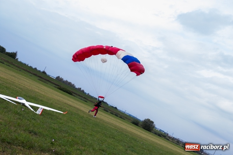 Zdjęcie w galerii na portalu naszraciborz.pl: Pokazy spadochroniarzy i bitwa powietrzna podczas Pikniku Modelarskiego wiadomości z regionu