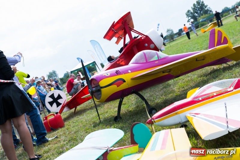 Zdjęcie w galerii na portalu naszraciborz.pl: Pokazy spadochroniarzy i bitwa powietrzna podczas Pikniku Modelarskiego wiadomości z regionu