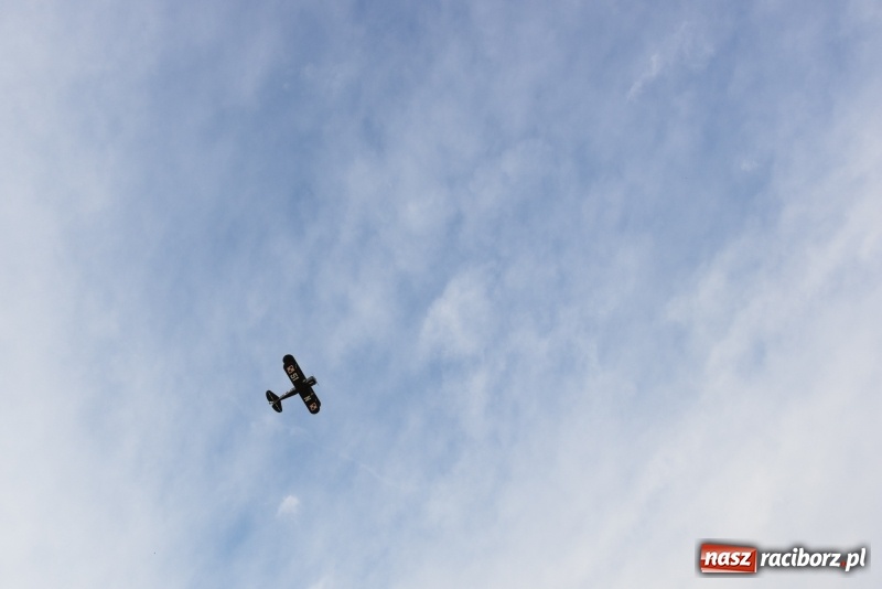 Zdjęcie w galerii na portalu naszraciborz.pl: Pokazy spadochroniarzy i bitwa powietrzna podczas Pikniku Modelarskiego wiadomości z regionu