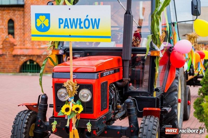 Zdjęcie w galerii na portalu naszraciborz.pl: Baletnice i rolnicy-urzędnicy na dożynkach w Pawłowie wiadomości z regionu
