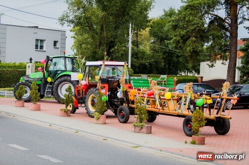 Zdjęcie w galerii na portalu naszraciborz.pl: Baletnice i rolnicy-urzędnicy na dożynkach w Pawłowie wiadomości z regionu