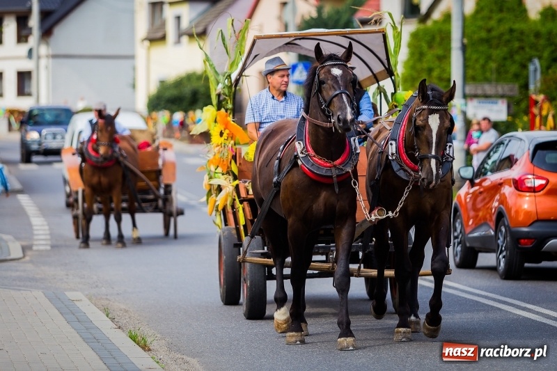 Zdjęcie w galerii na portalu naszraciborz.pl: Baletnice i rolnicy-urzędnicy na dożynkach w Pawłowie wiadomości z regionu