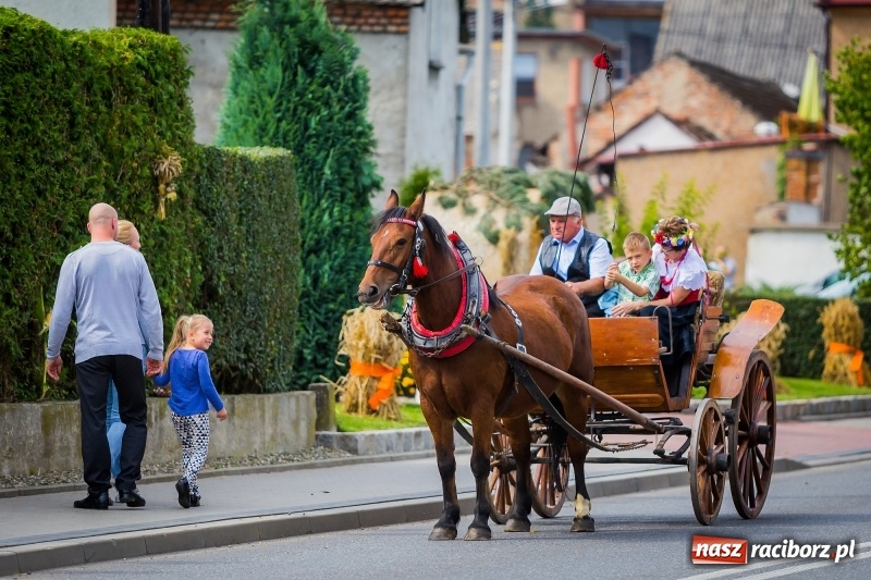 Zdjęcie w galerii na portalu naszraciborz.pl: Baletnice i rolnicy-urzędnicy na dożynkach w Pawłowie wiadomości z regionu