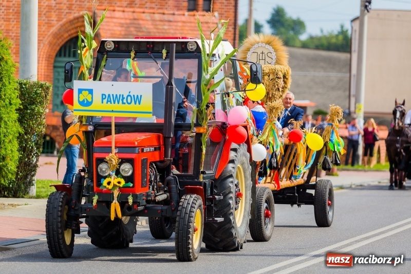 Zdjęcie w galerii na portalu naszraciborz.pl: Baletnice i rolnicy-urzędnicy na dożynkach w Pawłowie wiadomości z regionu