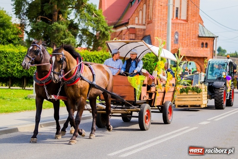 Zdjęcie w galerii na portalu naszraciborz.pl: Baletnice i rolnicy-urzędnicy na dożynkach w Pawłowie wiadomości z regionu