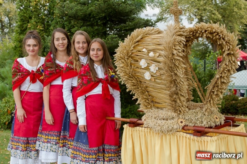 Zdjęcie w galerii na portalu naszraciborz.pl: Samborowickie dożynki z archeologią w tle wiadomości z regionu