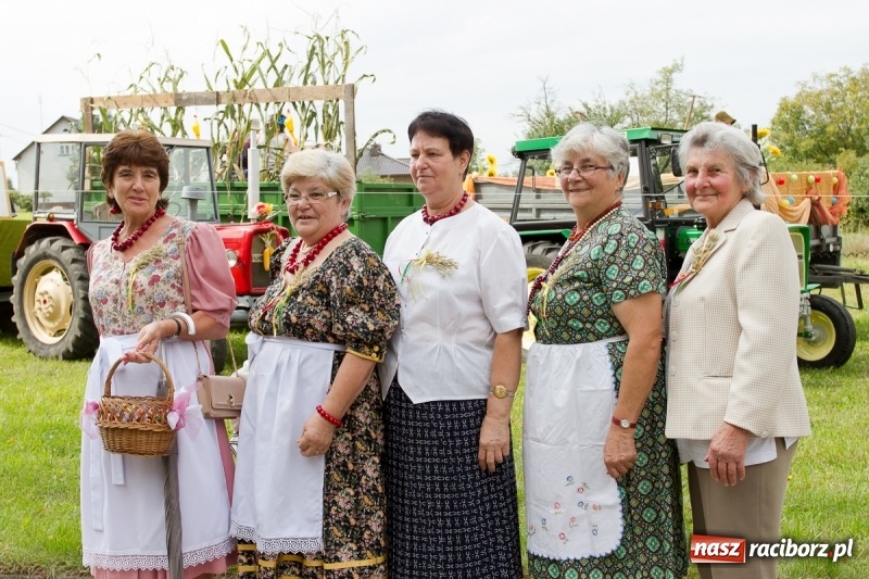 Zdjęcie w galerii na portalu naszraciborz.pl: Samborowickie dożynki z archeologią w tle wiadomości z regionu