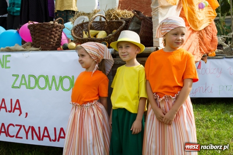 Zdjęcie w galerii na portalu naszraciborz.pl: Samborowickie dożynki z archeologią w tle wiadomości z regionu