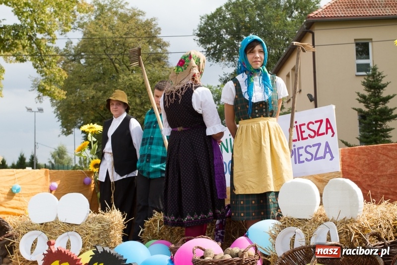 Zdjęcie w galerii na portalu naszraciborz.pl: Samborowickie dożynki z archeologią w tle wiadomości z regionu