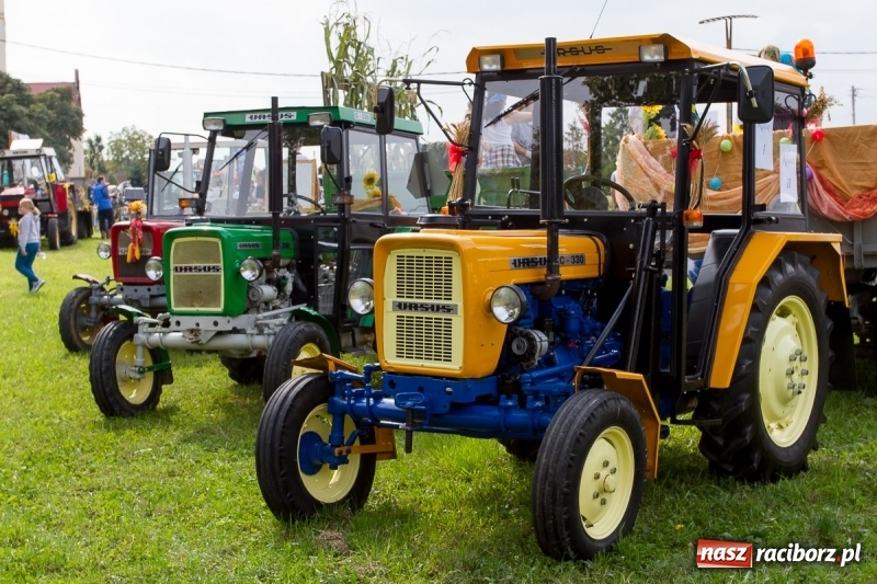 Zdjęcie w galerii na portalu naszraciborz.pl: Samborowickie dożynki z archeologią w tle wiadomości z regionu