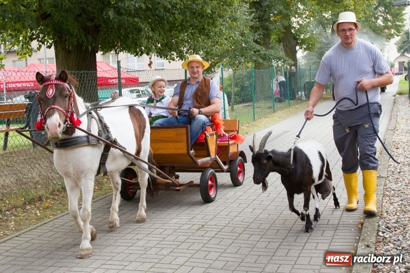 Zdjęcie w galerii na portalu naszraciborz.pl: Samborowickie dożynki z archeologią w tle wiadomości z regionu
