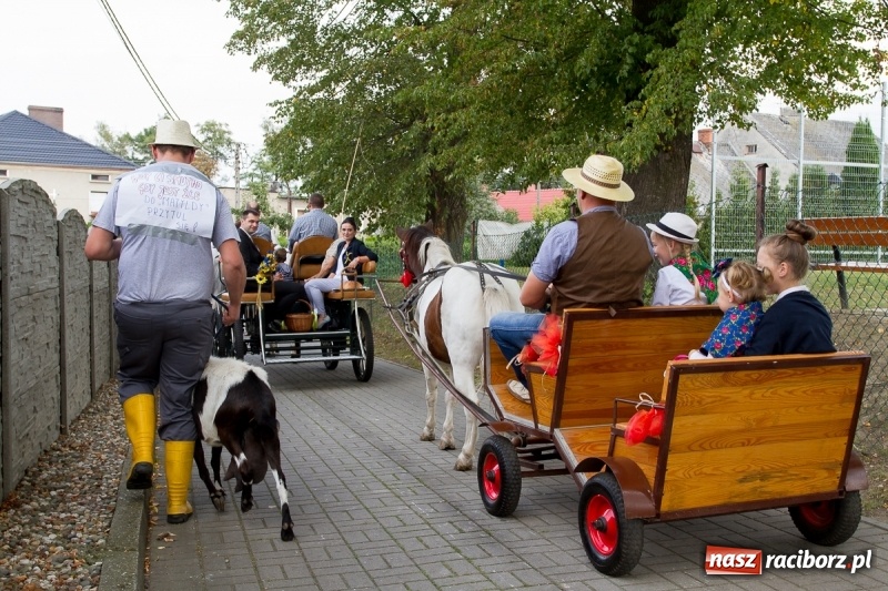 Zdjęcie w galerii na portalu naszraciborz.pl: Samborowickie dożynki z archeologią w tle wiadomości z regionu