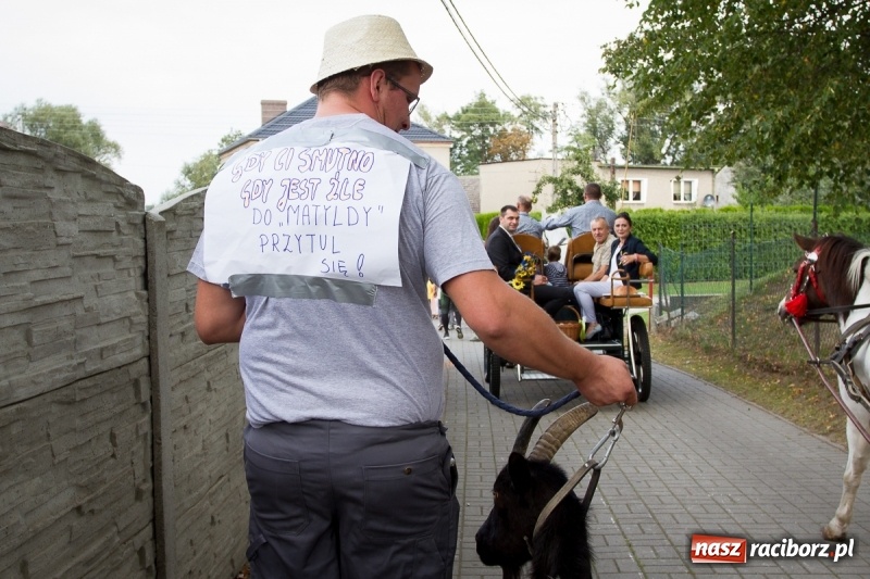 Zdjęcie w galerii na portalu naszraciborz.pl: Samborowickie dożynki z archeologią w tle wiadomości z regionu