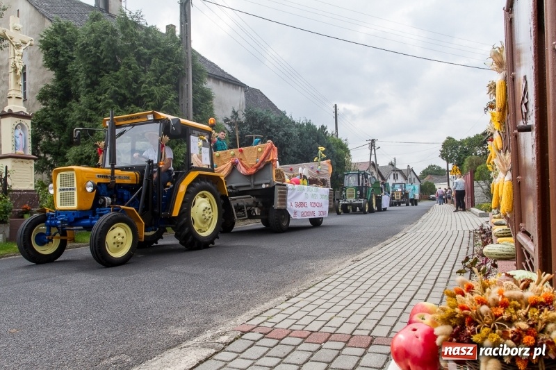 Zdjęcie w galerii na portalu naszraciborz.pl: Samborowickie dożynki z archeologią w tle wiadomości z regionu