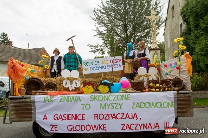 Zdjęcie w galerii na portalu naszraciborz.pl: Samborowickie dożynki z archeologią w tle wiadomości z regionu