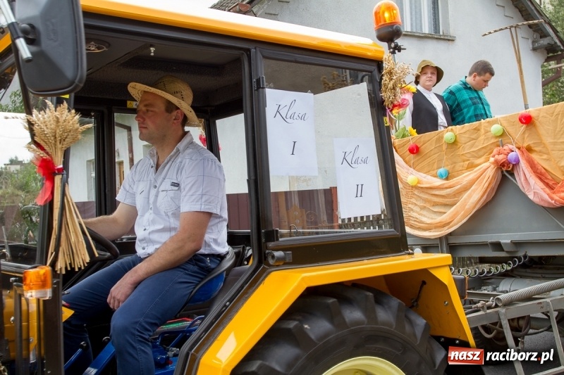 Zdjęcie w galerii na portalu naszraciborz.pl: Samborowickie dożynki z archeologią w tle wiadomości z regionu