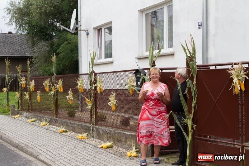 Zdjęcie w galerii na portalu naszraciborz.pl: Samborowickie dożynki z archeologią w tle wiadomości z regionu