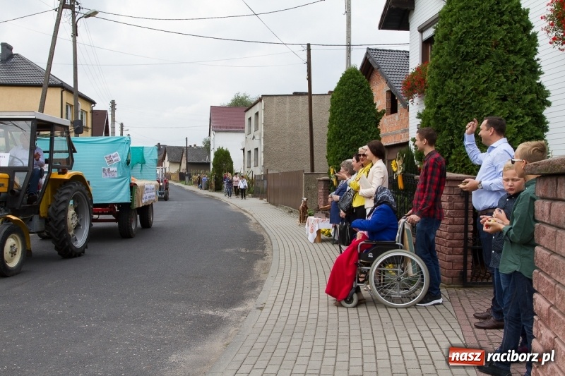Zdjęcie w galerii na portalu naszraciborz.pl: Samborowickie dożynki z archeologią w tle wiadomości z regionu
