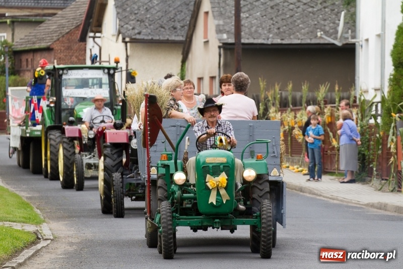 Zdjęcie w galerii na portalu naszraciborz.pl: Samborowickie dożynki z archeologią w tle wiadomości z regionu