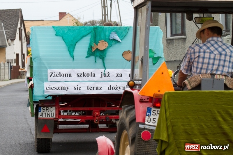 Zdjęcie w galerii na portalu naszraciborz.pl: Samborowickie dożynki z archeologią w tle wiadomości z regionu