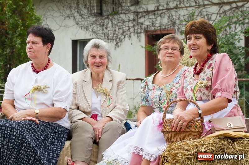 Zdjęcie w galerii na portalu naszraciborz.pl: Samborowickie dożynki z archeologią w tle wiadomości z regionu