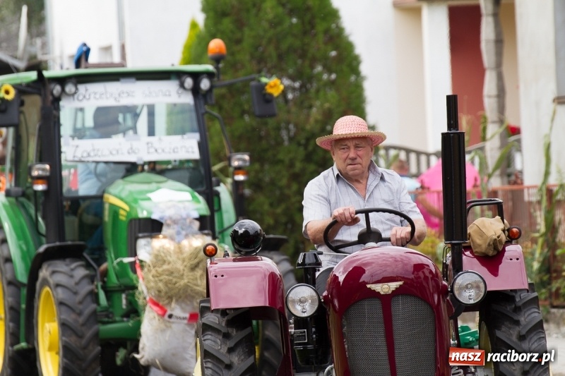 Zdjęcie w galerii na portalu naszraciborz.pl: Samborowickie dożynki z archeologią w tle wiadomości z regionu