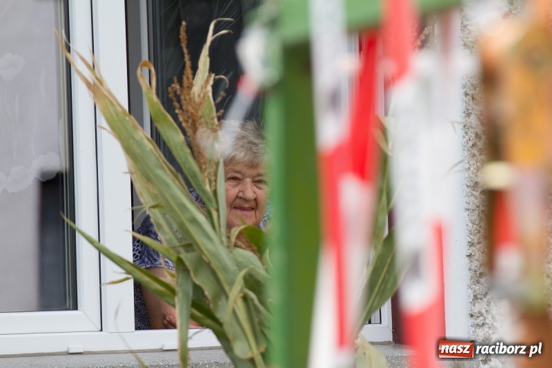 Zdjęcie w galerii na portalu naszraciborz.pl: Samborowickie dożynki z archeologią w tle wiadomości z regionu