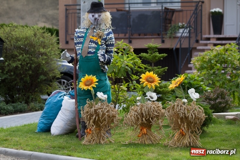 Zdjęcie w galerii na portalu naszraciborz.pl: Samborowickie dożynki z archeologią w tle wiadomości z regionu