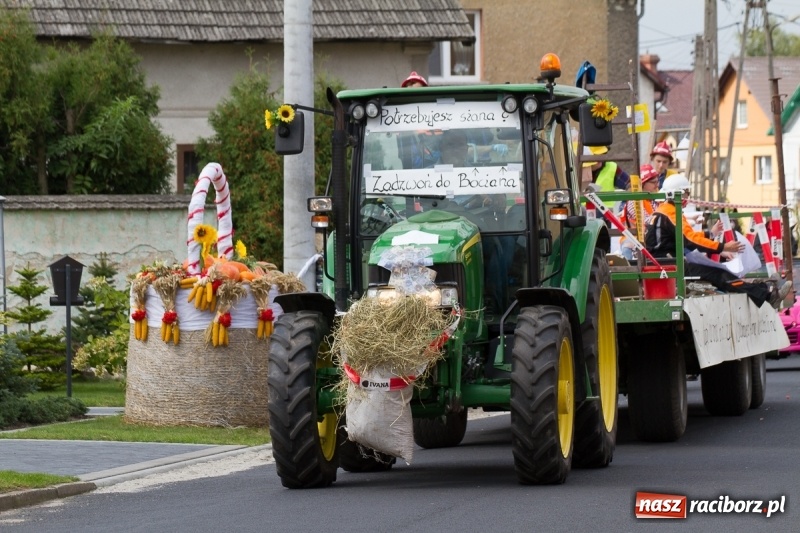Zdjęcie w galerii na portalu naszraciborz.pl: Samborowickie dożynki z archeologią w tle wiadomości z regionu