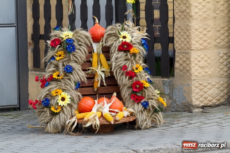 Zdjęcie w galerii na portalu naszraciborz.pl: Samborowickie dożynki z archeologią w tle wiadomości z regionu