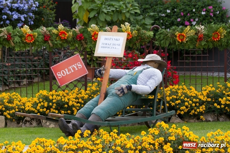 Zdjęcie w galerii na portalu naszraciborz.pl: Samborowickie dożynki z archeologią w tle wiadomości z regionu