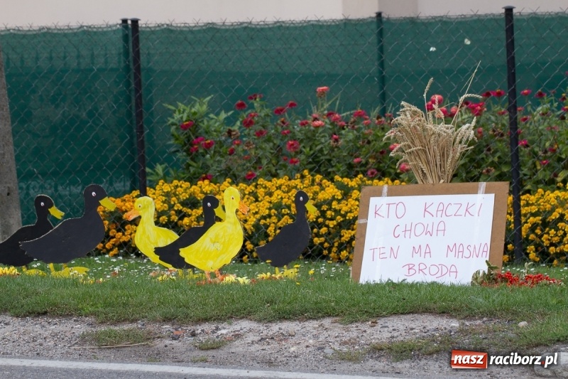 Zdjęcie w galerii na portalu naszraciborz.pl: Samborowickie dożynki z archeologią w tle wiadomości z regionu
