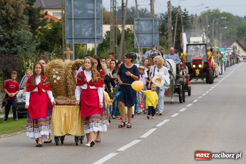 Zdjęcie w galerii na portalu naszraciborz.pl: Samborowickie dożynki z archeologią w tle wiadomości z regionu