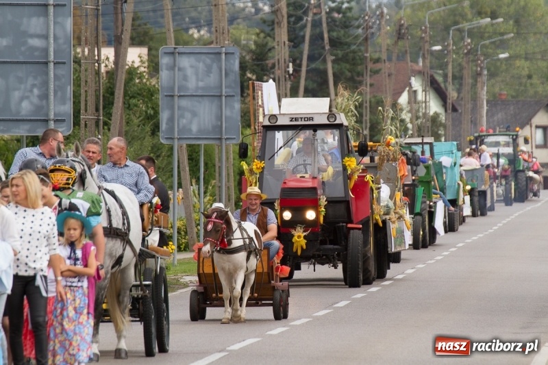 Zdjęcie w galerii na portalu naszraciborz.pl: Samborowickie dożynki z archeologią w tle wiadomości z regionu