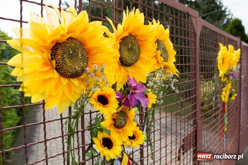 Zdjęcie w galerii na portalu naszraciborz.pl: Samborowickie dożynki z archeologią w tle wiadomości z regionu