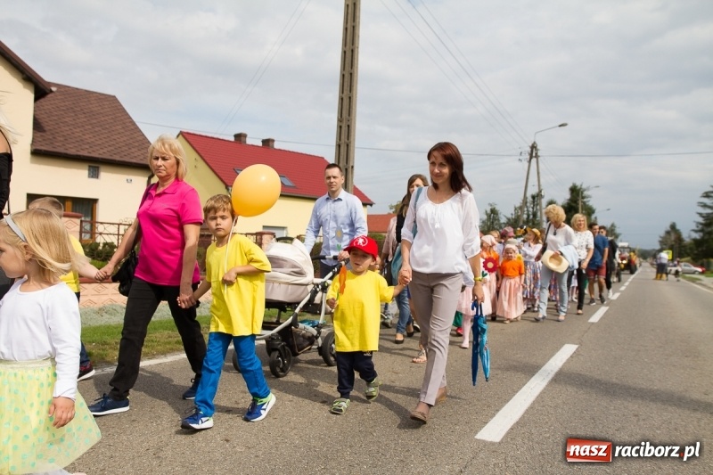 Zdjęcie w galerii na portalu naszraciborz.pl: Samborowickie dożynki z archeologią w tle wiadomości z regionu