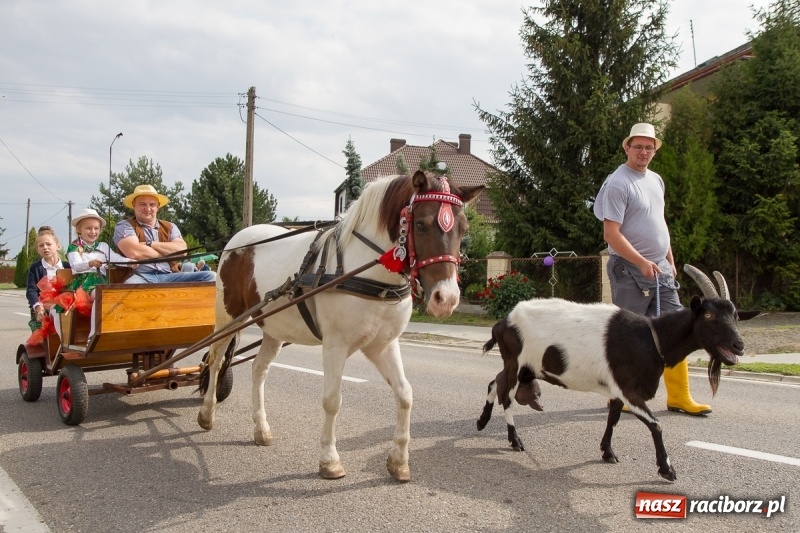 Zdjęcie w galerii na portalu naszraciborz.pl: Samborowickie dożynki z archeologią w tle wiadomości z regionu
