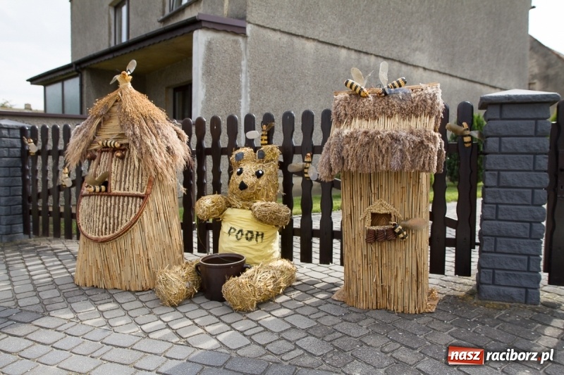 Zdjęcie w galerii na portalu naszraciborz.pl: Samborowickie dożynki z archeologią w tle wiadomości z regionu