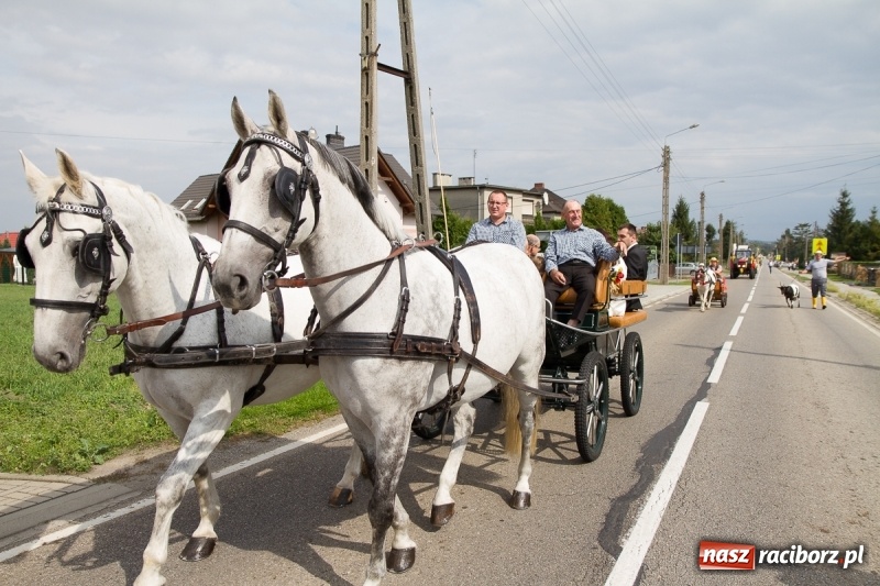 Zdjęcie w galerii na portalu naszraciborz.pl: Samborowickie dożynki z archeologią w tle wiadomości z regionu