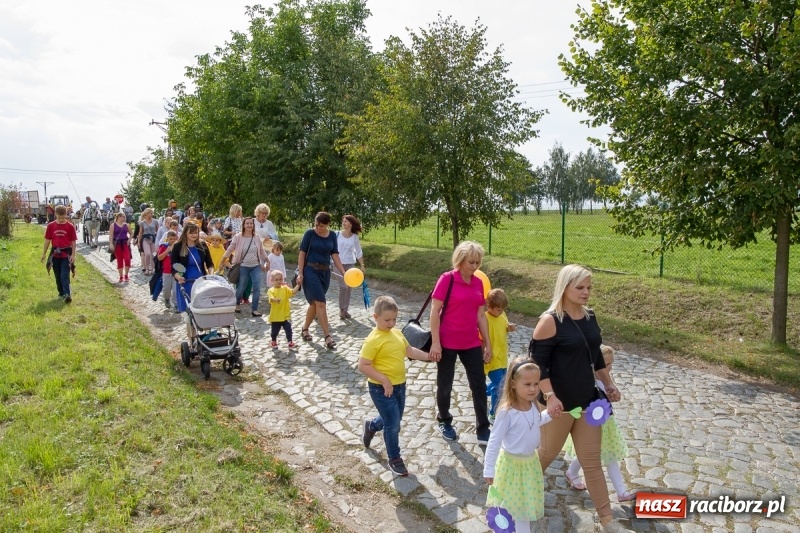 Zdjęcie w galerii na portalu naszraciborz.pl: Samborowickie dożynki z archeologią w tle wiadomości z regionu